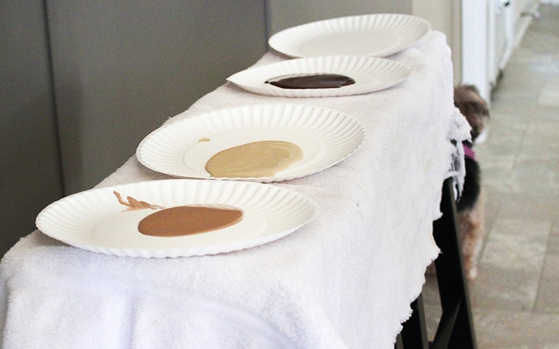 giani granite chocolate brown countertop paint on paper plates