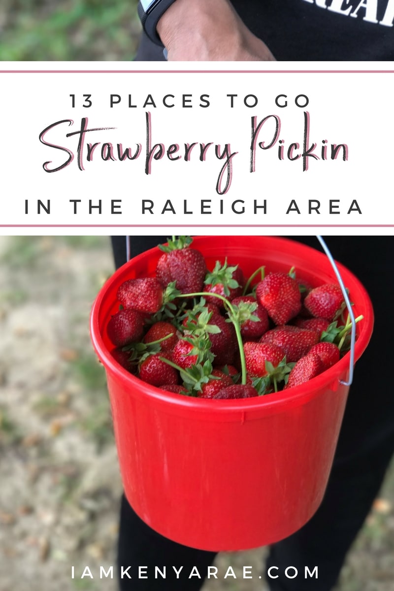 The Best Strawberry Picking Farms in Raleigh, North Carolina [2023]