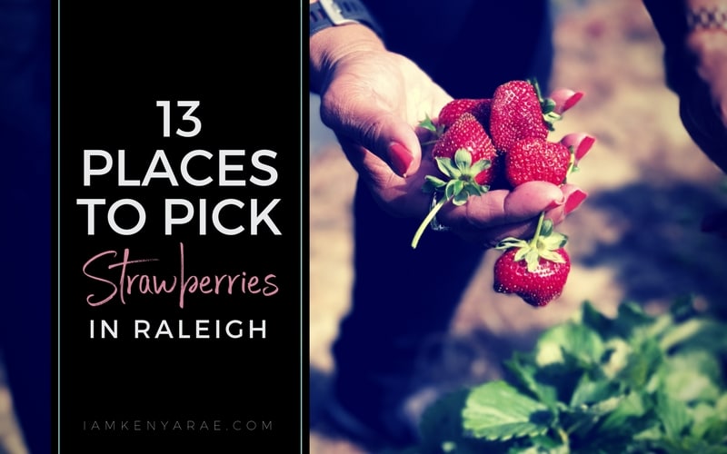 The Best Strawberry Picking Farms in Raleigh, North Carolina [2023]