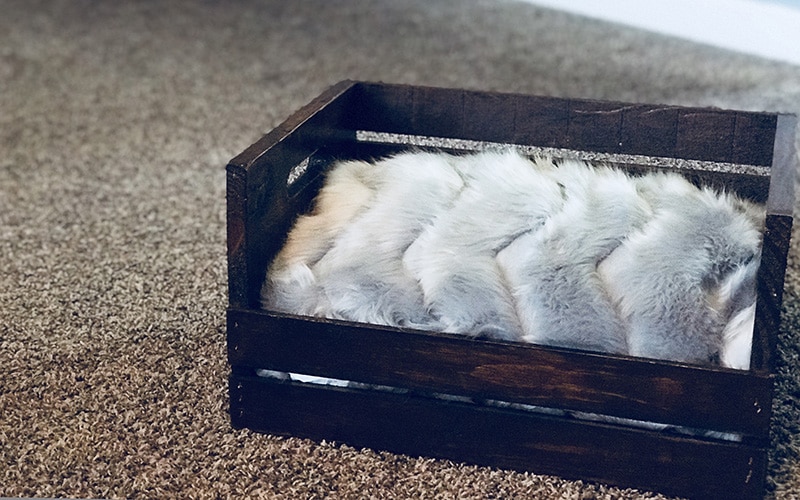 Diy Dog Bed For Under 25 Bucks, How To Make A Wooden Crate Dog Bed