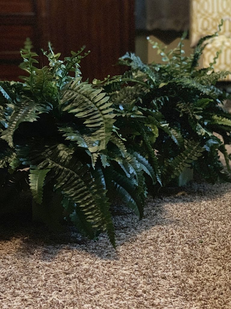 bunches of fake ferns