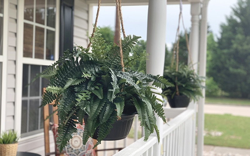 How To Make Realistic Hanging Boston Ferns For Under $20