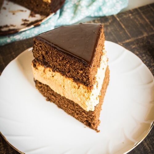 Chocolate Layer Cake with Pumpkin Cheesecake Layer