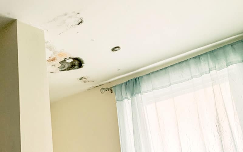 10 Ways to Tell if the Home You’re About to Buy Has Water Damage