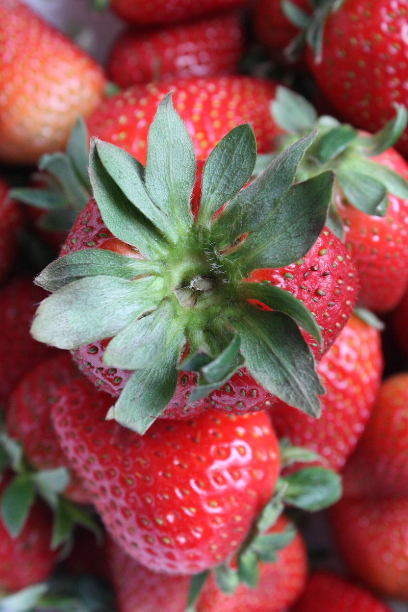 close up photo of strawberries