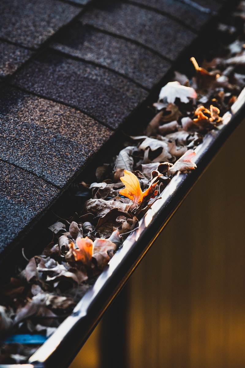 gutters with leaves