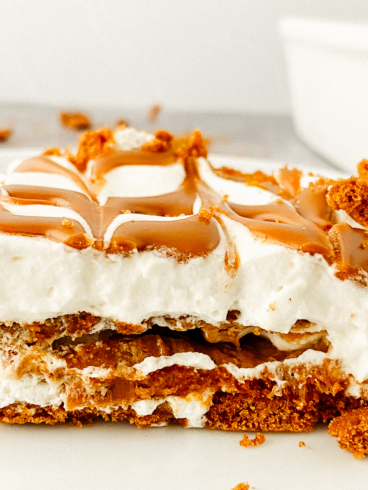 The Best Biscoff Pudding Recipe [5 Ingredients]