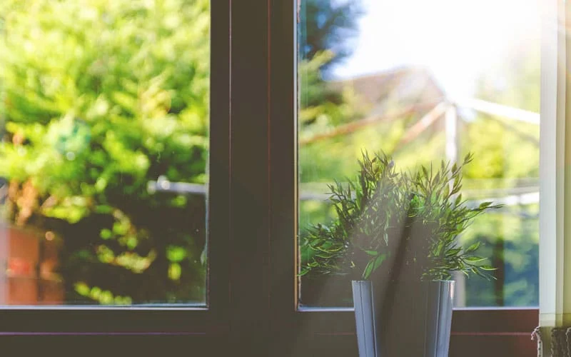 window-fall-home-maintenance | Kenya Rae