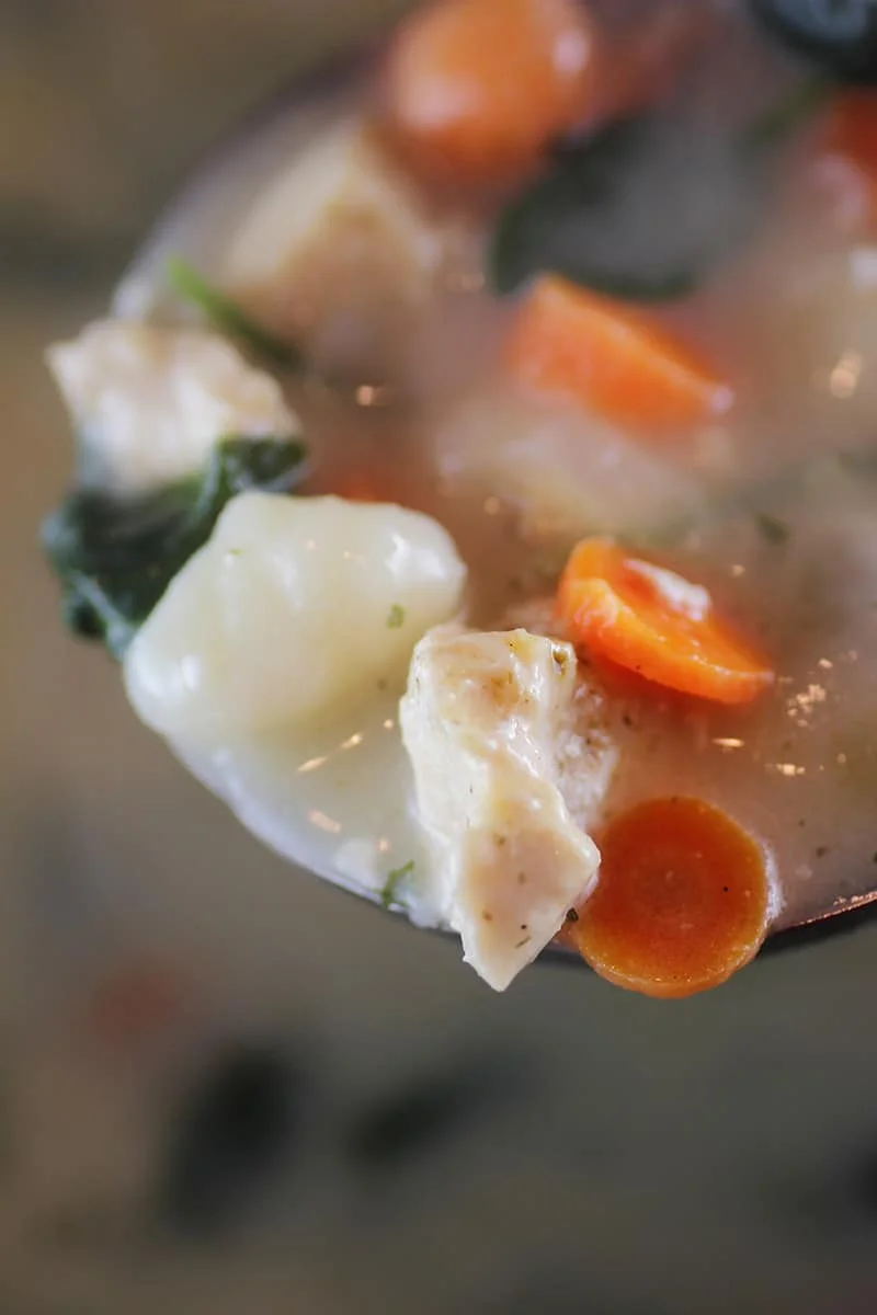 chicken gnocchi 5 | Kenya Rae spoonful of chicken gnocchi