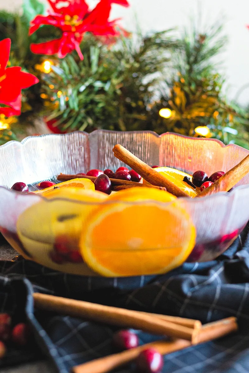 Homemade Simmering Potpourri - Package 3 - 13 | Kenya Rae a bowl filled with cranberries, oranges, apples, cinnamon sticks sitting in front of a Christmas garland